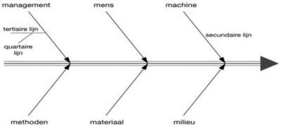 Ishikawa methode_Visgraatmodel