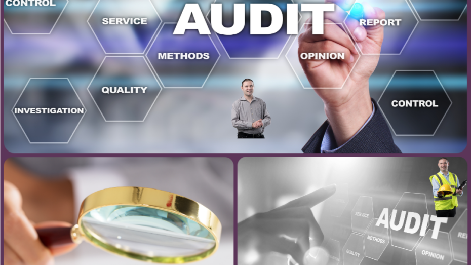 Coo_Consult_audits